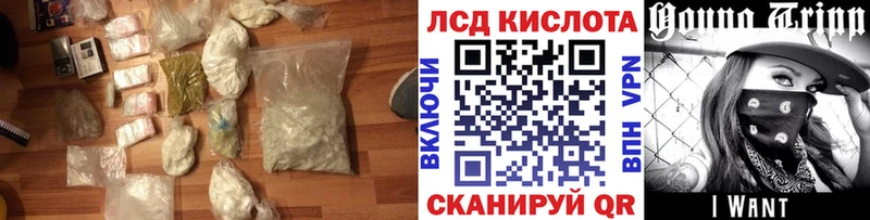где найти наркотики  Новопавловск  мориарти как зайти  LSD-25 экстази кислота 